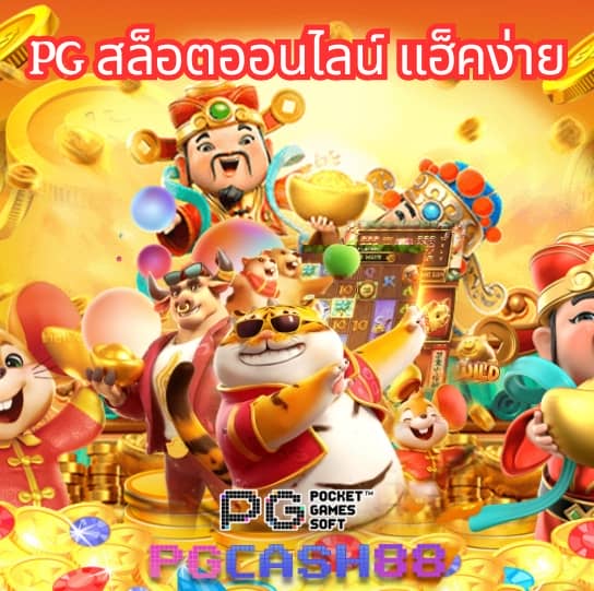 พีจีดาก้อน